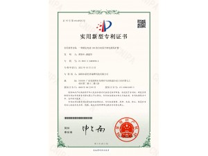 额定电流10A自动重合闸电源保护器